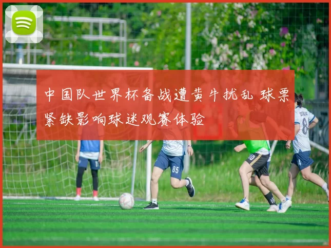 中国队世界杯备战遭黄牛扰乱 球票紧缺影响球迷观赛体验