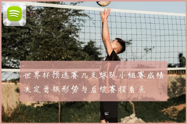 世界杯预选赛几支球队小组赛成绩决定晋级形势与后续赛程看点