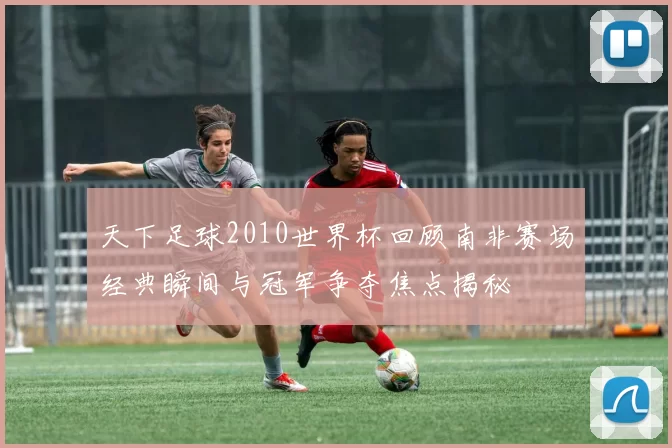 天下足球2010世界杯回顾南非赛场经典瞬间与冠军争夺焦点揭秘