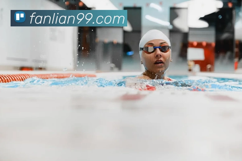 多媒体互动体验